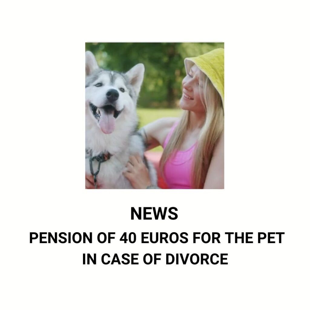 custody of pets in case of divorce